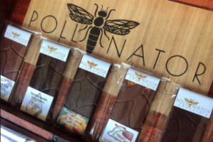 Pollinator Chocolate blossoms with small-batch,  bean-to-bar chocolate
